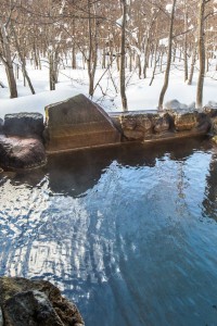 MOIWA Onsen House-103